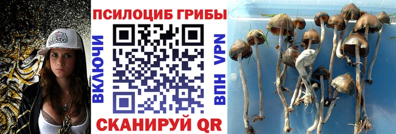 Купить закладки  Олонец  Галлюциногенные грибы ЛСД 